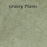 grassy-plains-site