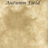 autumn field