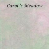 carols-meadow-site