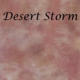 desert-storm-site