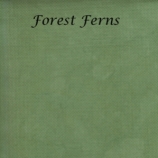 forest-ferns-site