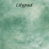 lilypad-site