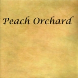 peach-orchard
