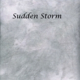 sudden-storm-site