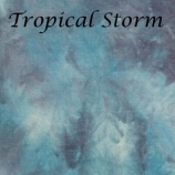 tropical-storm-site