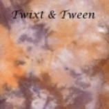 twixt-tween-site