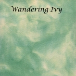 wandering-ivy-site