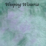 weeping wisteria site