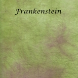 Frankenstein site