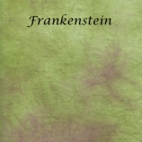 Frankenstein site