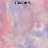 1cosmos