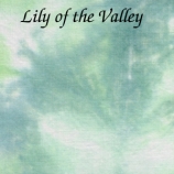 1lily of the valley site