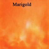 1marigold