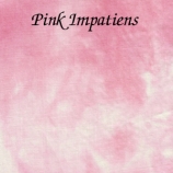 1pink impatiens site