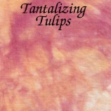 1tantalizing tulips site
