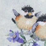 Bluebell-Chick-Chat