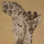 Giraffe-Family