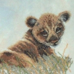 Heart-of-a-Lion