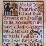 Pumpkin-Patch
