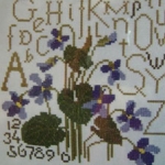 Sweet-Violets