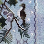Winter-Bird-Delight