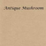 antique-mushroom-site